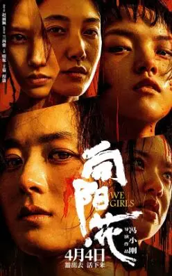 《向阳·花》：绽放于困境，照亮希望的生命之歌