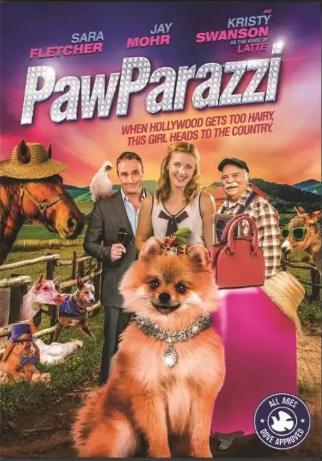 《狗崽队》：一群边缘少年的疯狂青春，他们是如何在绝望中寻找希望？