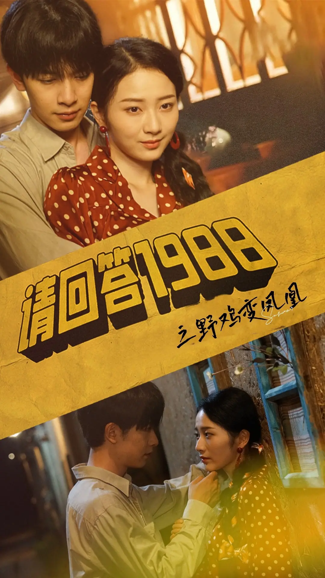 从野鸡到凤凰：重温《请回答1988之野鸡变凤凰》的温暖青春与逆袭梦想