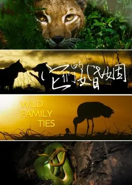 《它们的婚姻》：爱与挣扎的深刻剖析，一场关于身份认同与情感边界的挑战